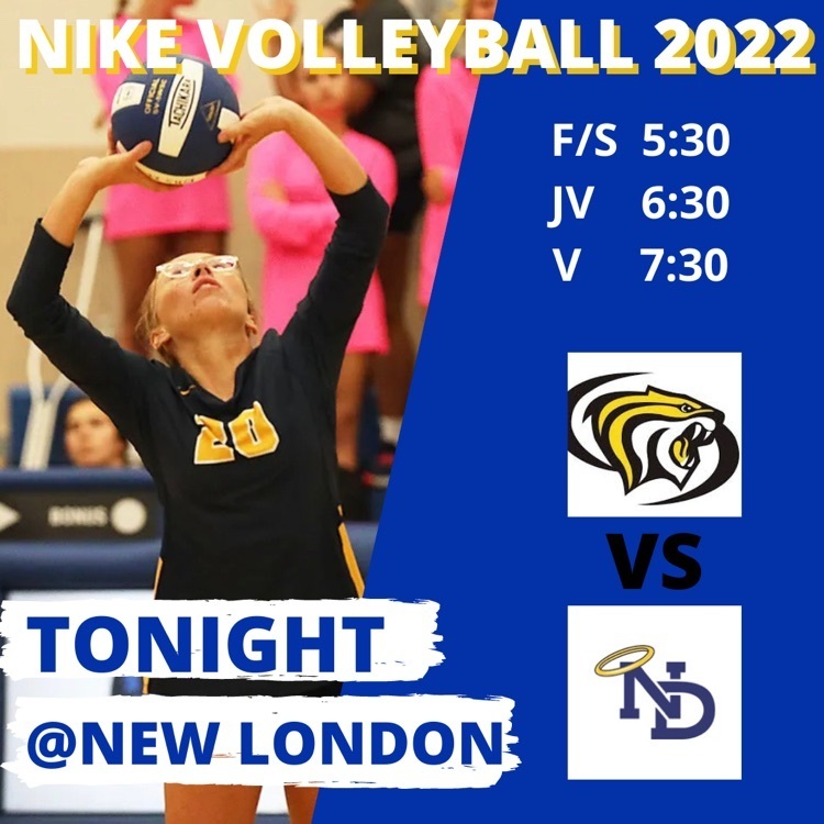 NIKE VOLLEYBALL BACK IN ACTION!